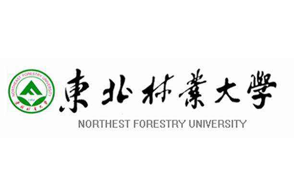 齐齐哈尔专业本科二学历机构