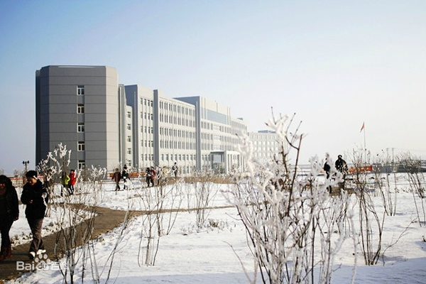 齐齐哈尔专业本科二学历机构