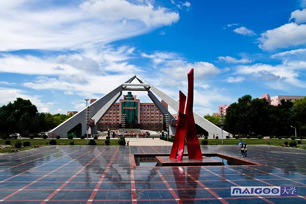 七台河专业学历教育价格